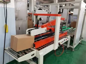 Máy dựng khay carton tự động khóa